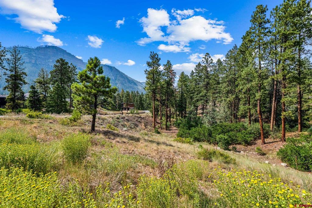 307 Glacier Cliff Drive Property Photo 2