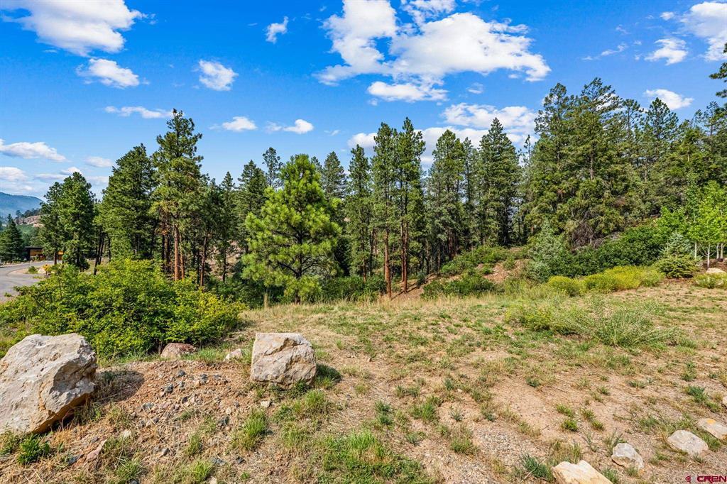 307 Glacier Cliff Drive Property Photo 5