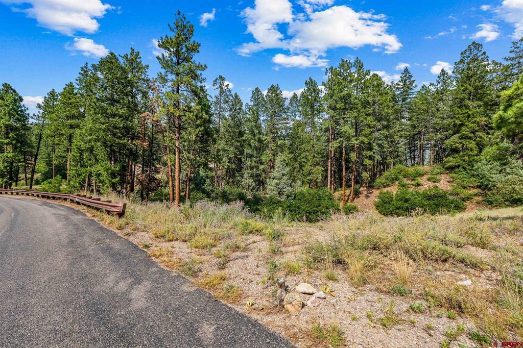 307 Glacier Cliff Drive Property Photo 6