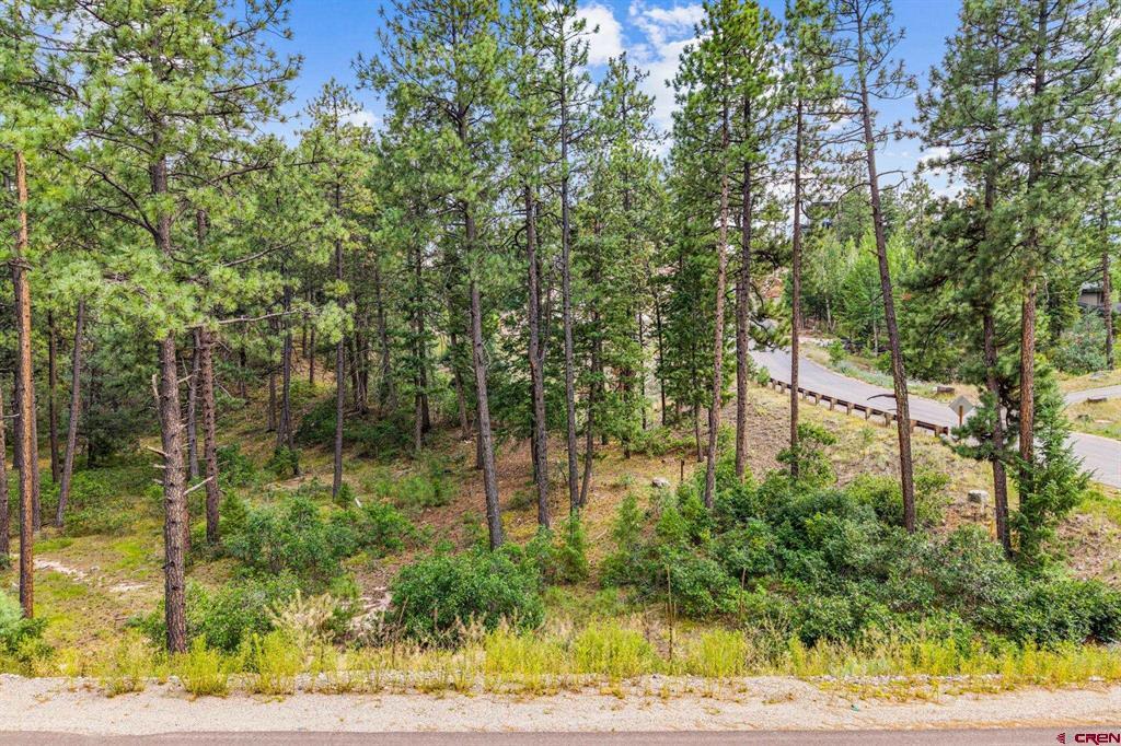 307 Glacier Cliff Drive Property Photo 16