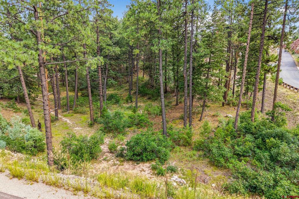 307 Glacier Cliff Drive Property Photo 17