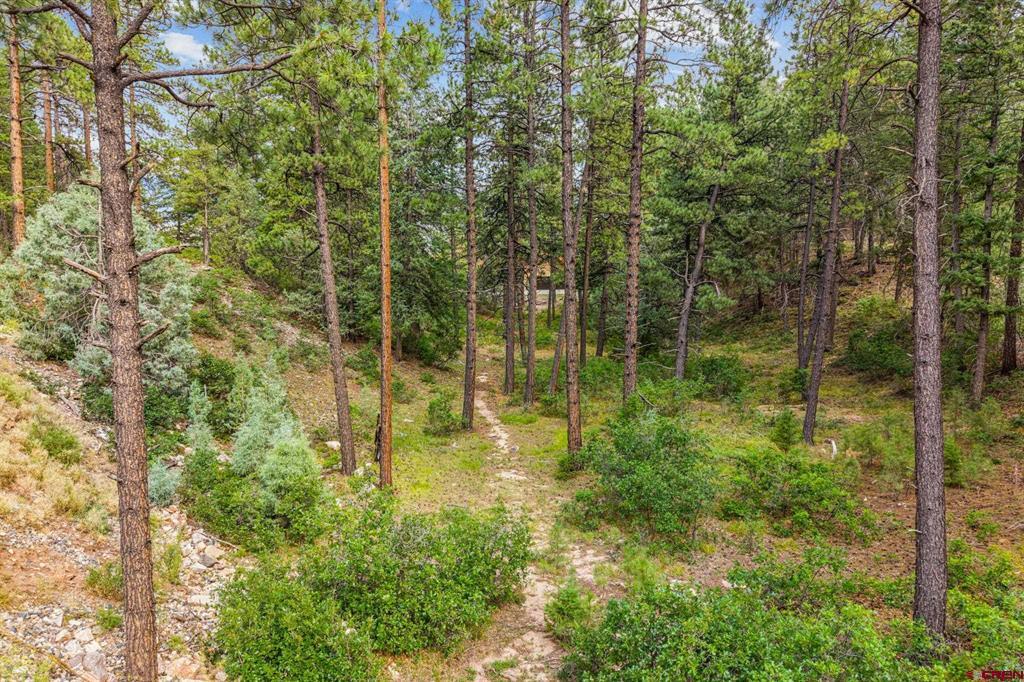 307 Glacier Cliff Drive Property Photo 18