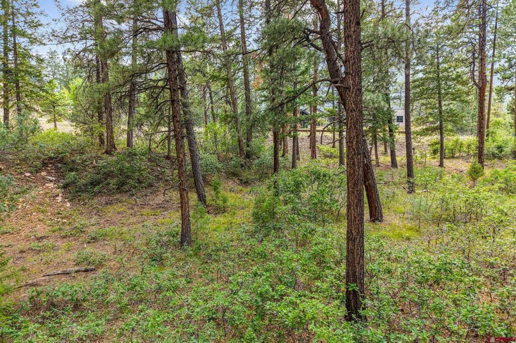 307 Glacier Cliff Drive Property Photo 20