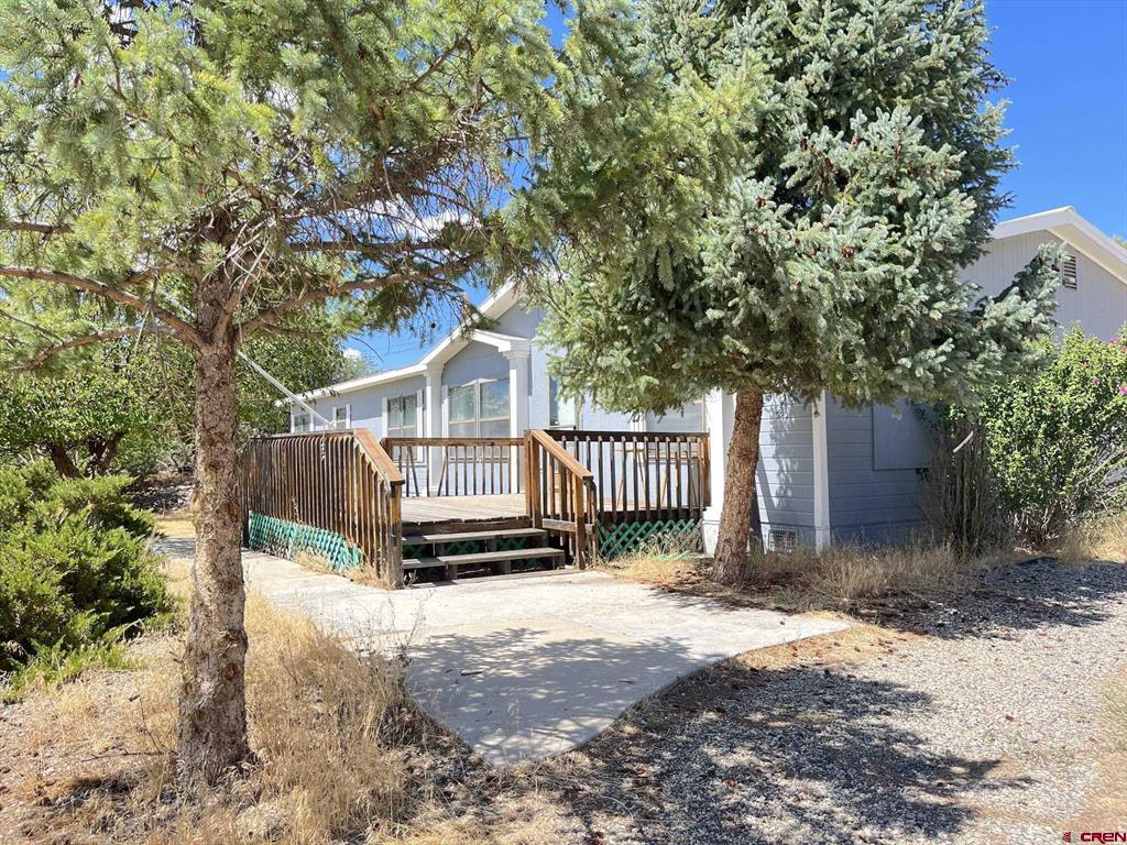 51 Elm Avenue Property Photo 31