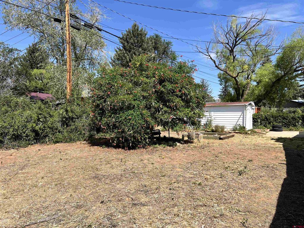 1005 S Cedar Street Property Photo 17