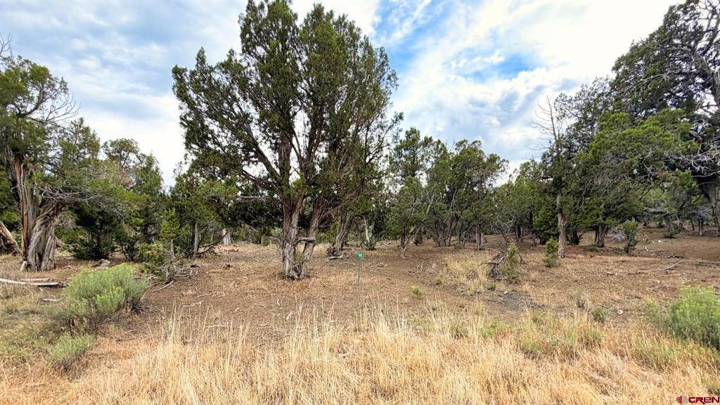 0 Road 35 Road Property Photo 27