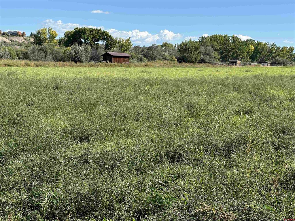 7528 S River Road Property Photo 4