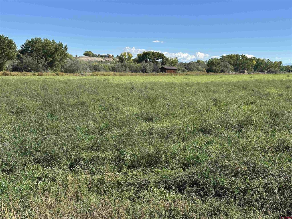 7528 S River Road Property Photo 38