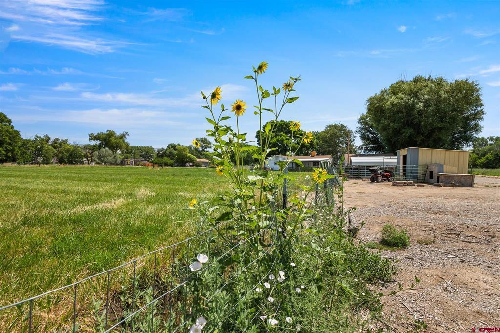 665 30 1/2 Road Property Photo 31