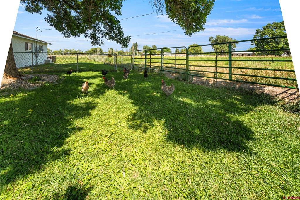 665 30 1/2 Road Property Photo 34