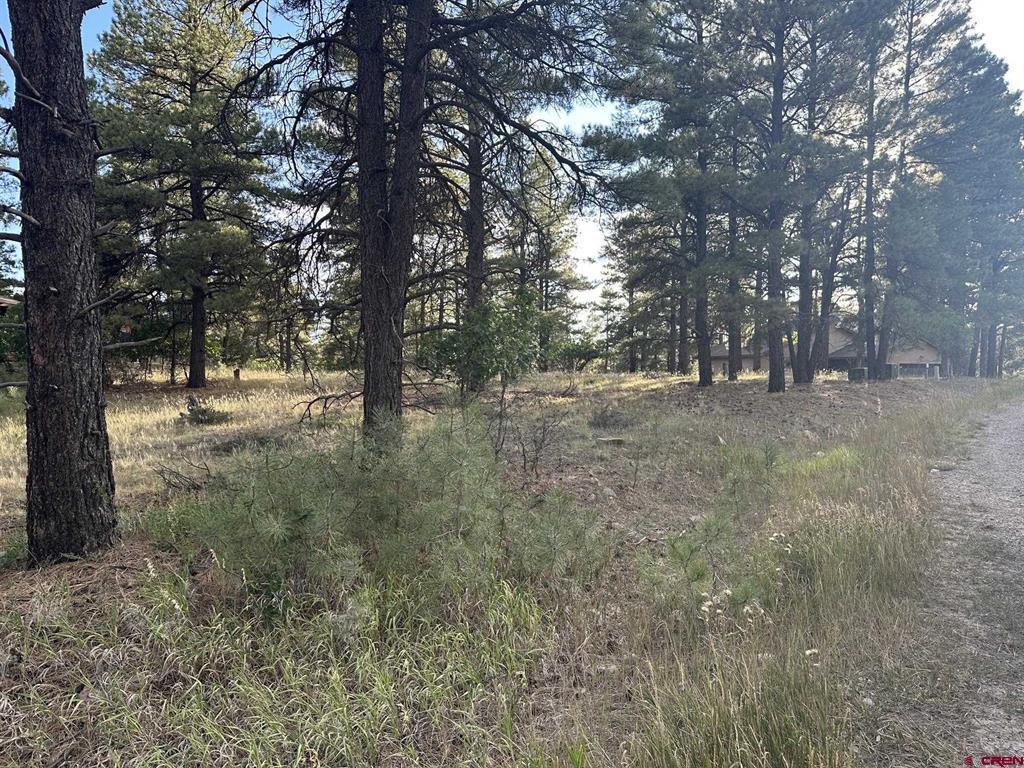 434 Twincreek Circle Property Photo 1