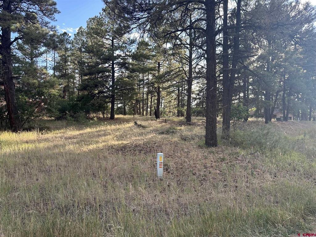 434 Twincreek Circle Property Photo 2