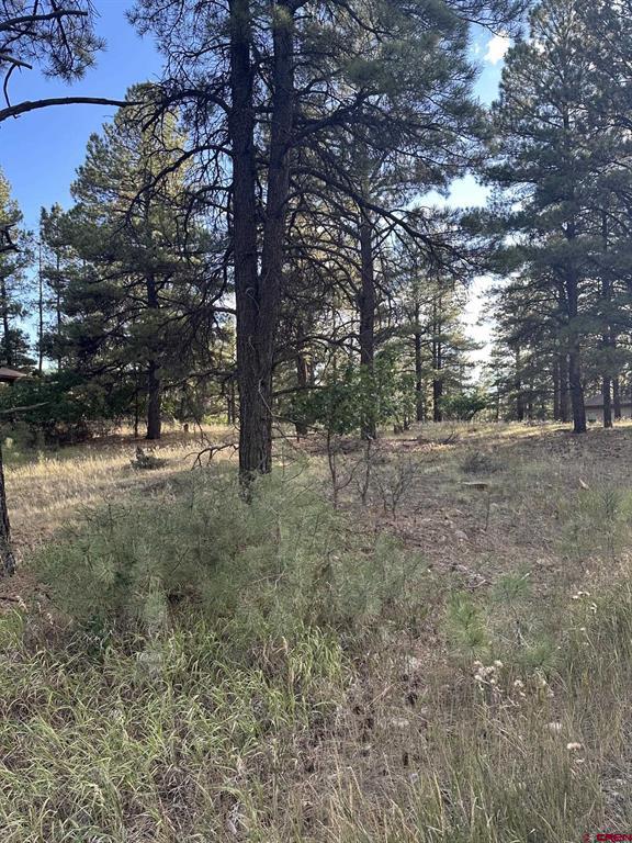 434 Twincreek Circle Property Photo 3
