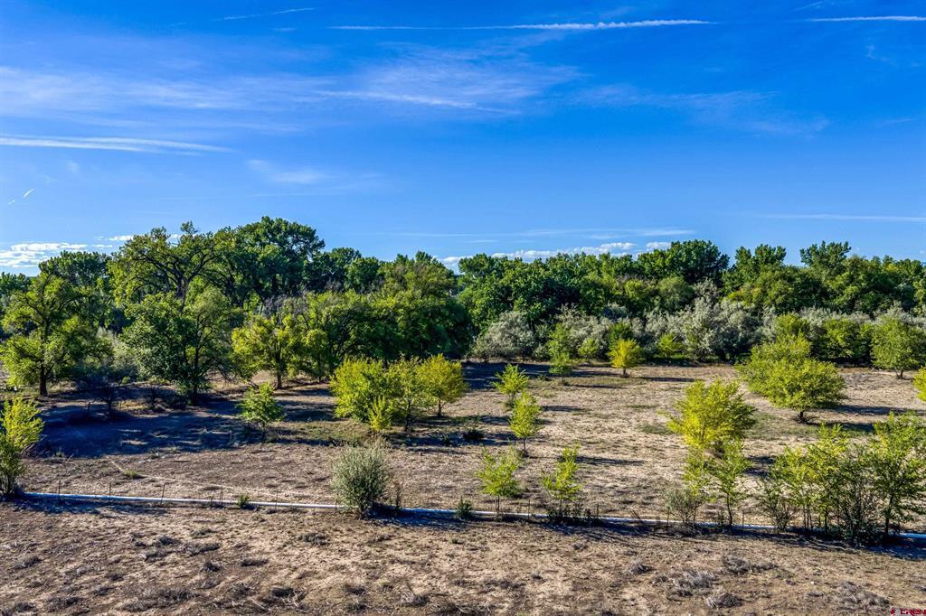1663 H38 Road Property Photo 12