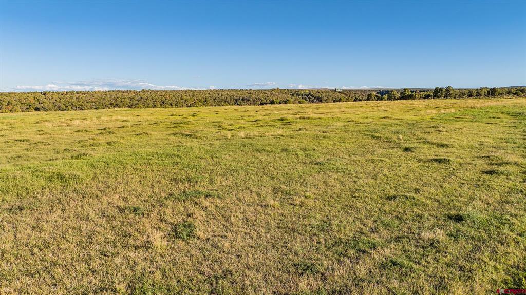 1253 3350 Road Property Photo 17