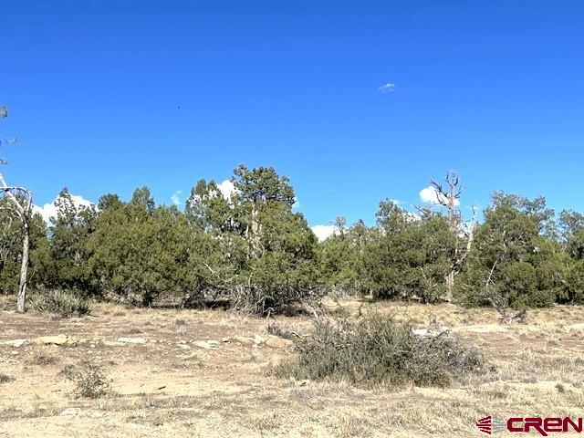 Tbd Road P Property Photo 4