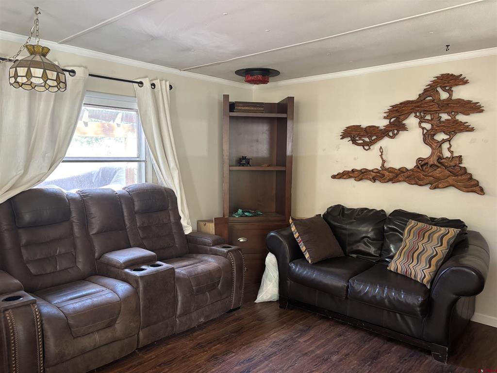 288 Animas View Drive Property Photo 12