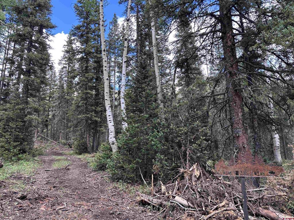 Lot 3 Overland Estates, Cr 110 Property Photo 2