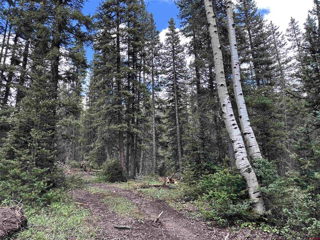 Lot 3 Overland Estates, Cr 110 Property Photo 3
