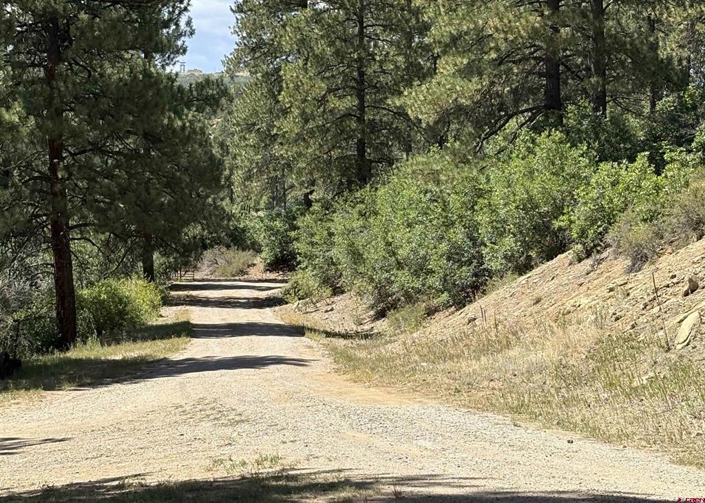 28061 W Hwy 160 Property Photo 4