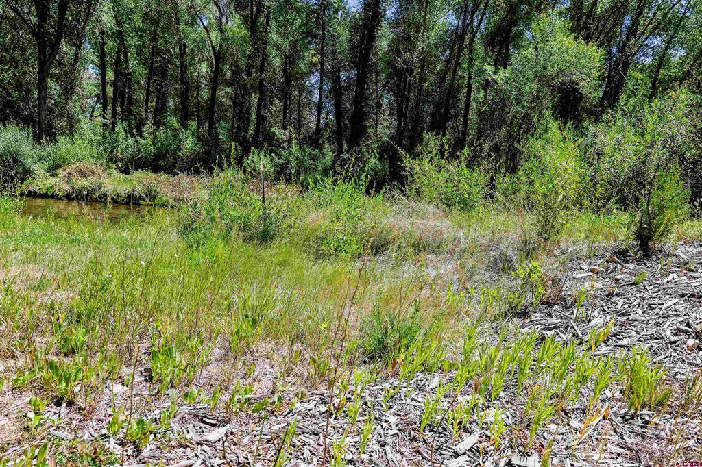 Tbd County Road 16 Property Photo 32