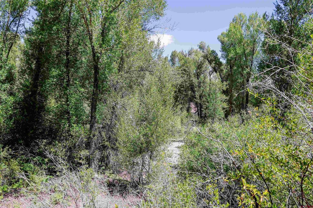 Tbd County Road 16 Property Photo 42