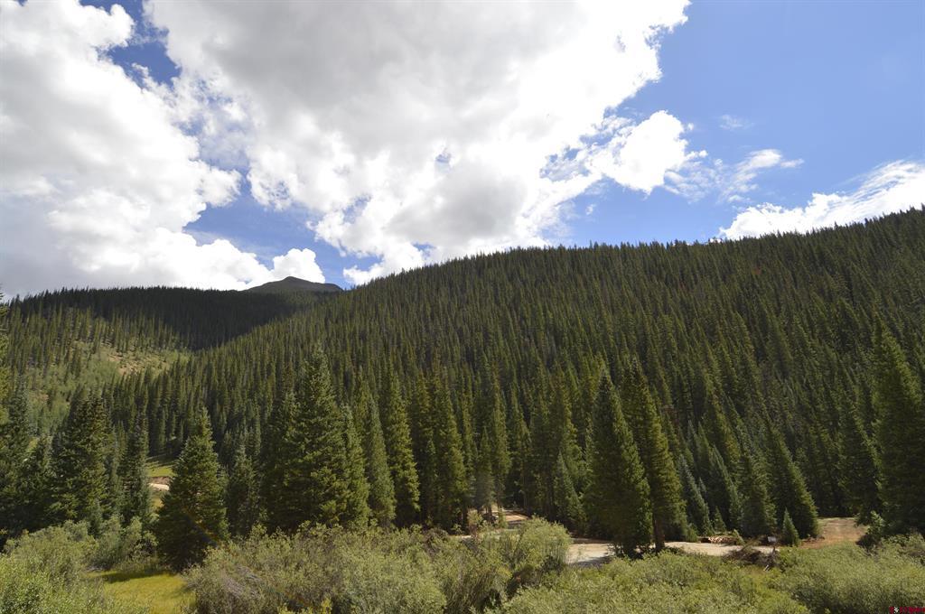 Tdb Cr 110 Gold Bug Property Photo 1