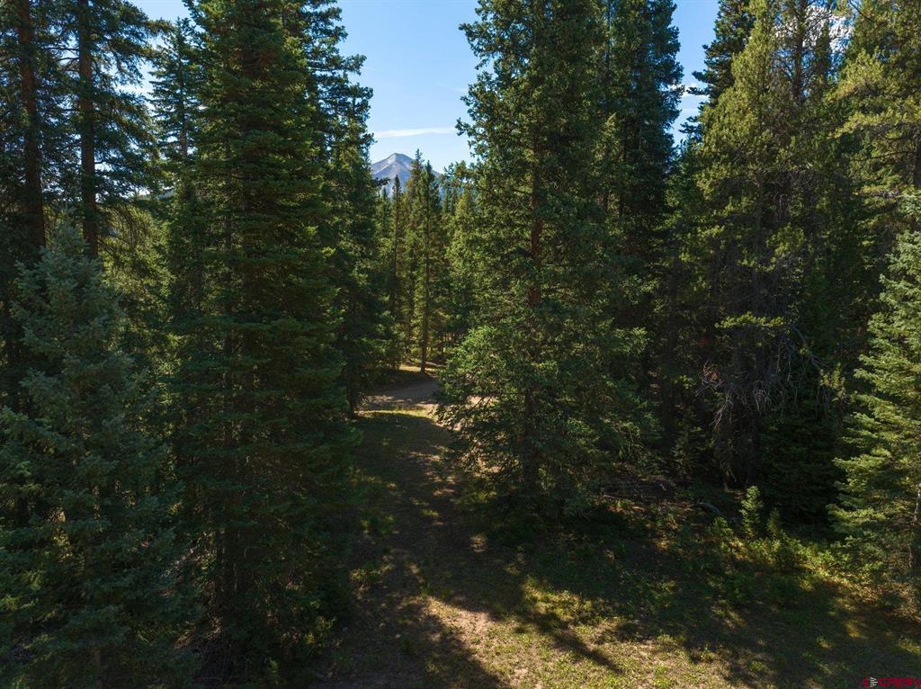 1217 Trappers Way Property Photo 7