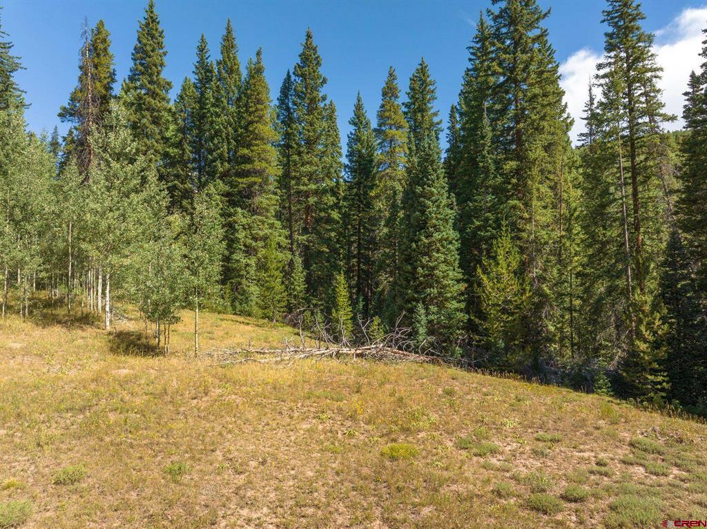 1217 Trappers Way Property Photo 9