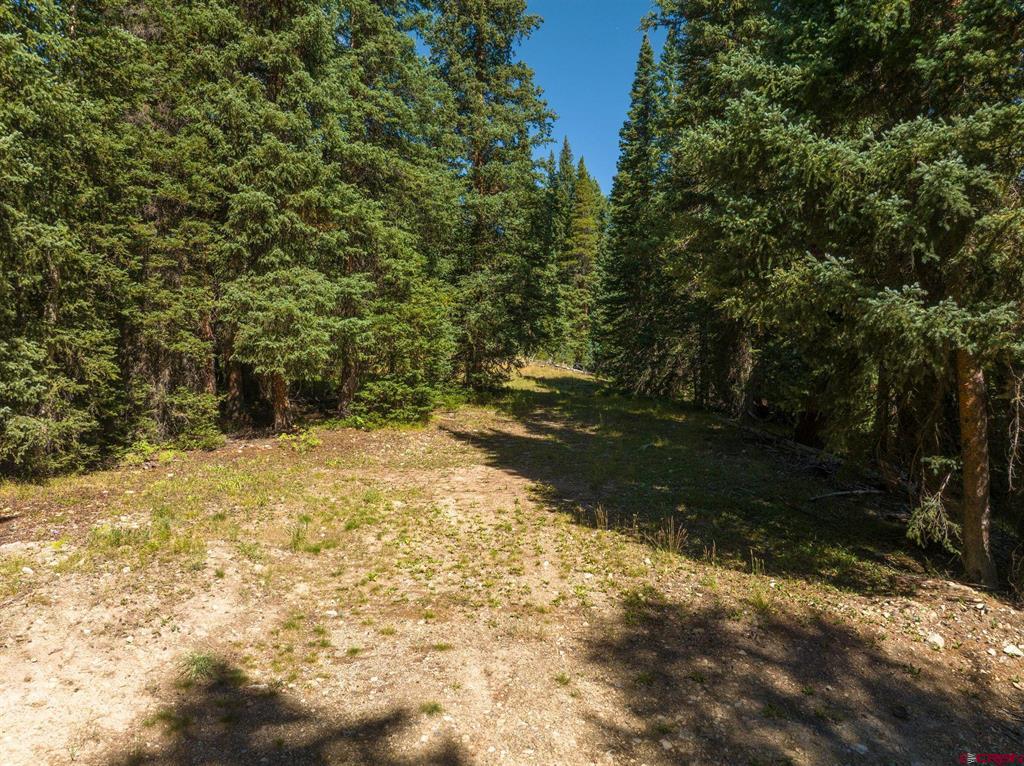 1217 Trappers Way Property Photo 17