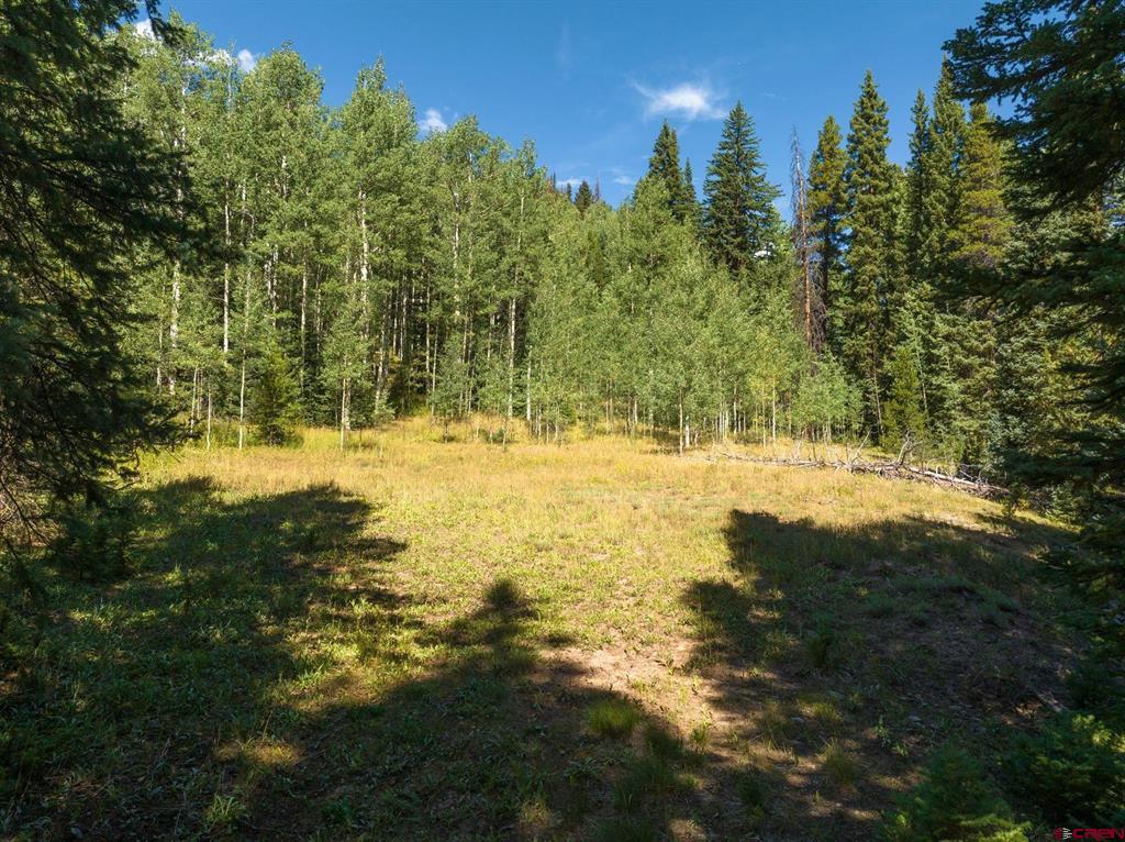 1217 Trappers Way Property Photo 18