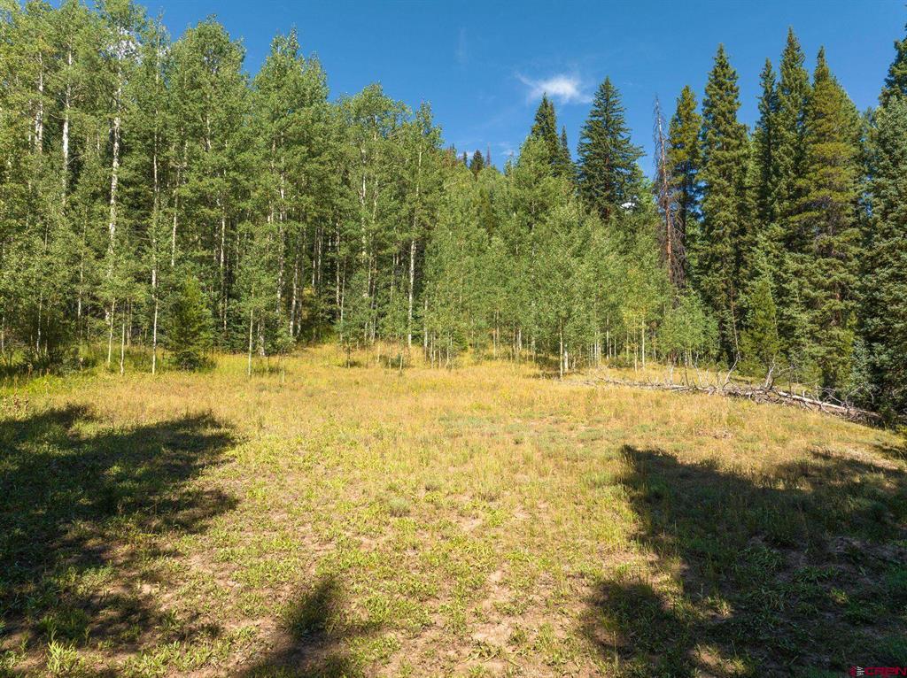 1217 Trappers Way Property Photo 19