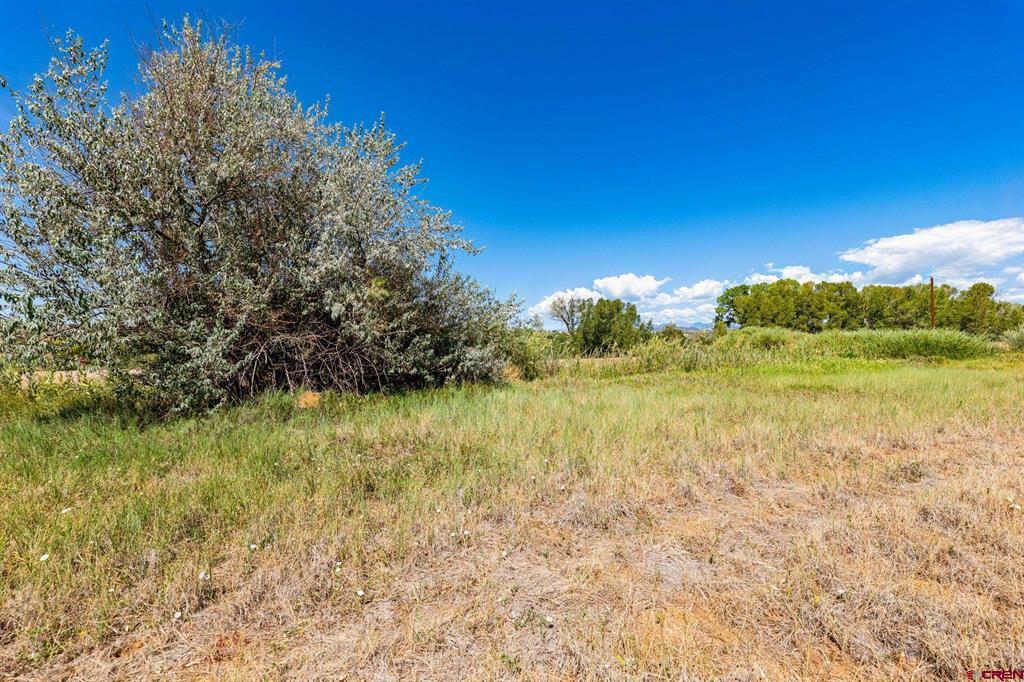 44 County Road 225a Property Photo 2