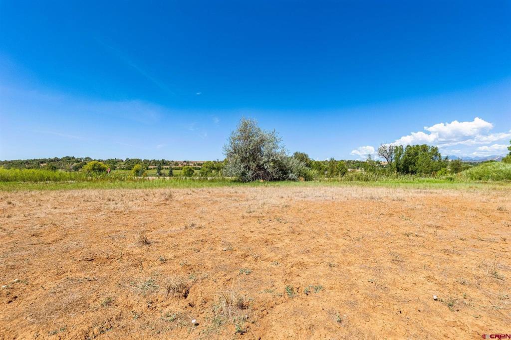 44 County Road 225a Property Photo 11