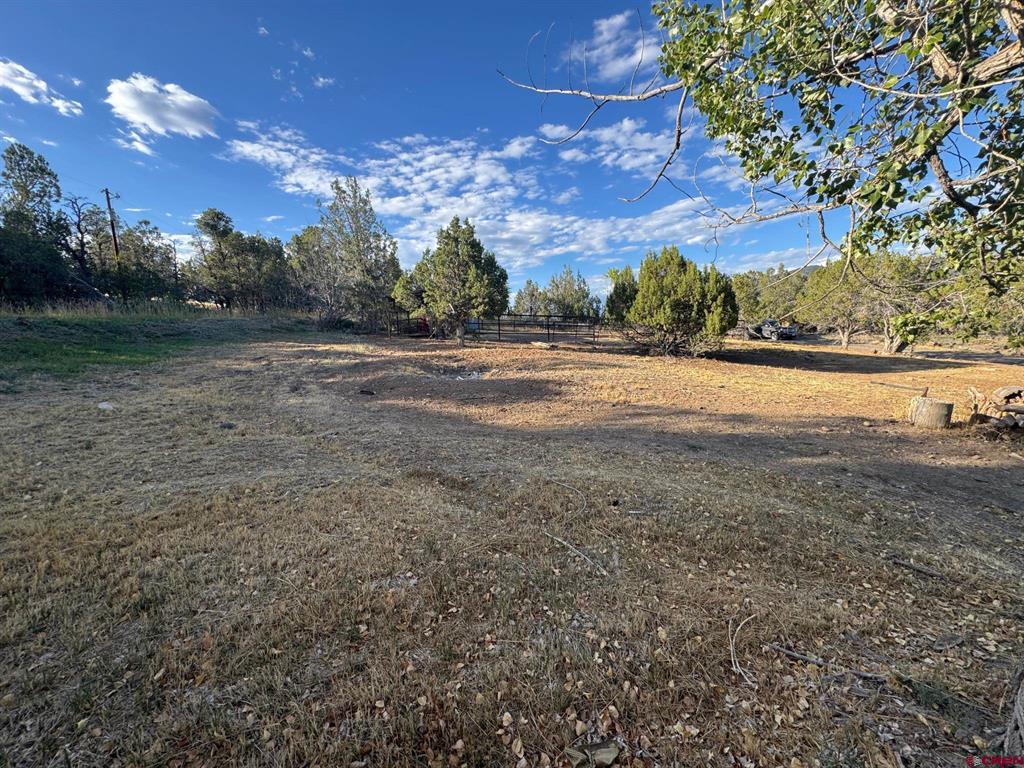 87 & 133 Lake Fork Property Photo 28