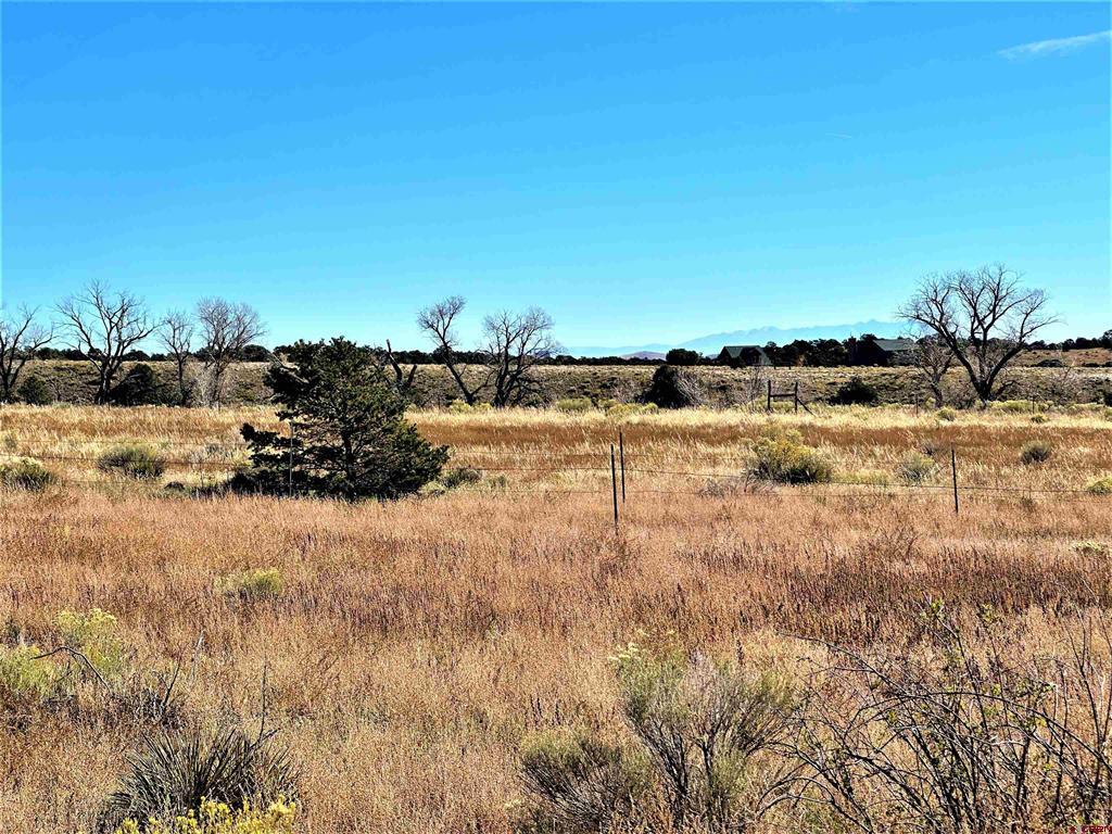 538 County Rd 63 Property Photo 25