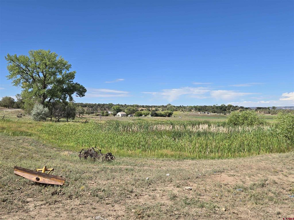 7915 St Hwy 151 Property Photo 37