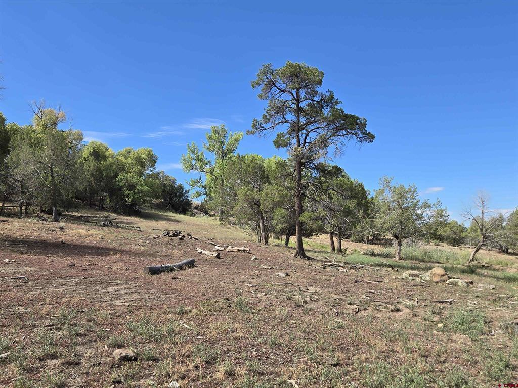 7915 St Hwy 151 Property Photo 40