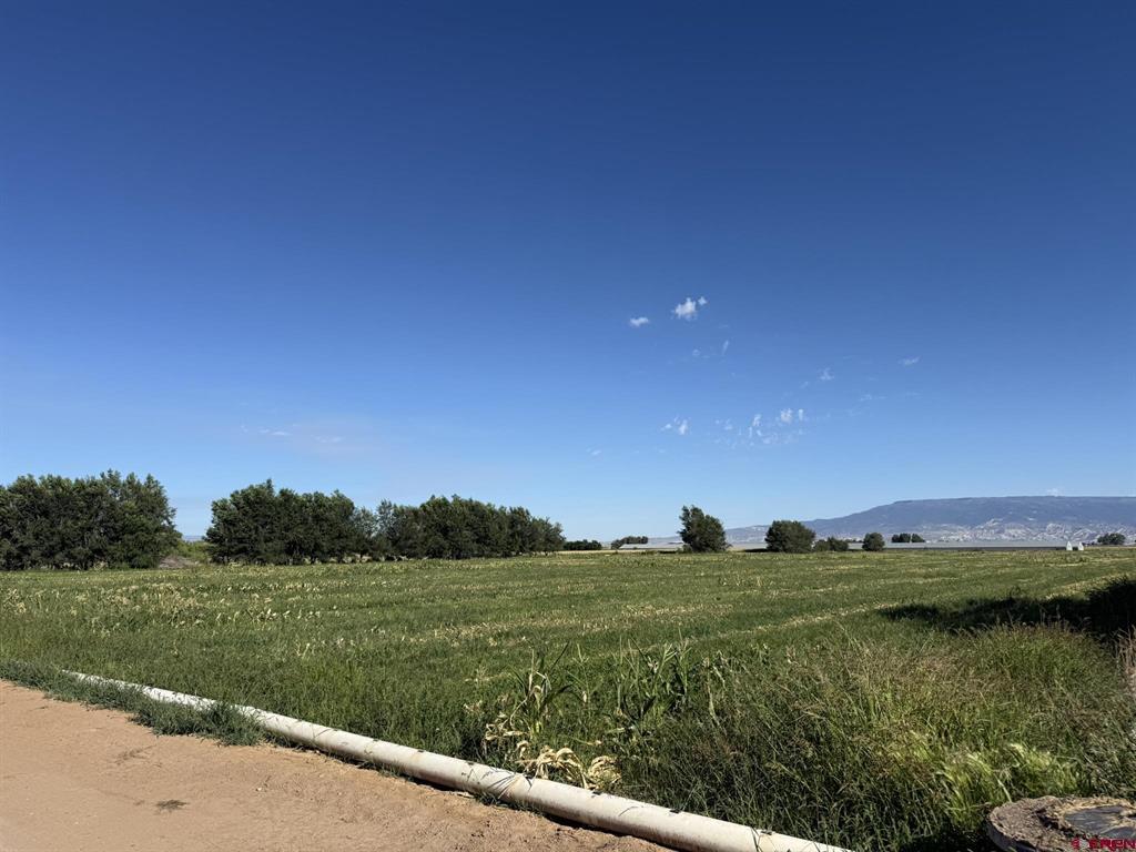 Tbd Carnation Or 5400 Road Property Photo 16