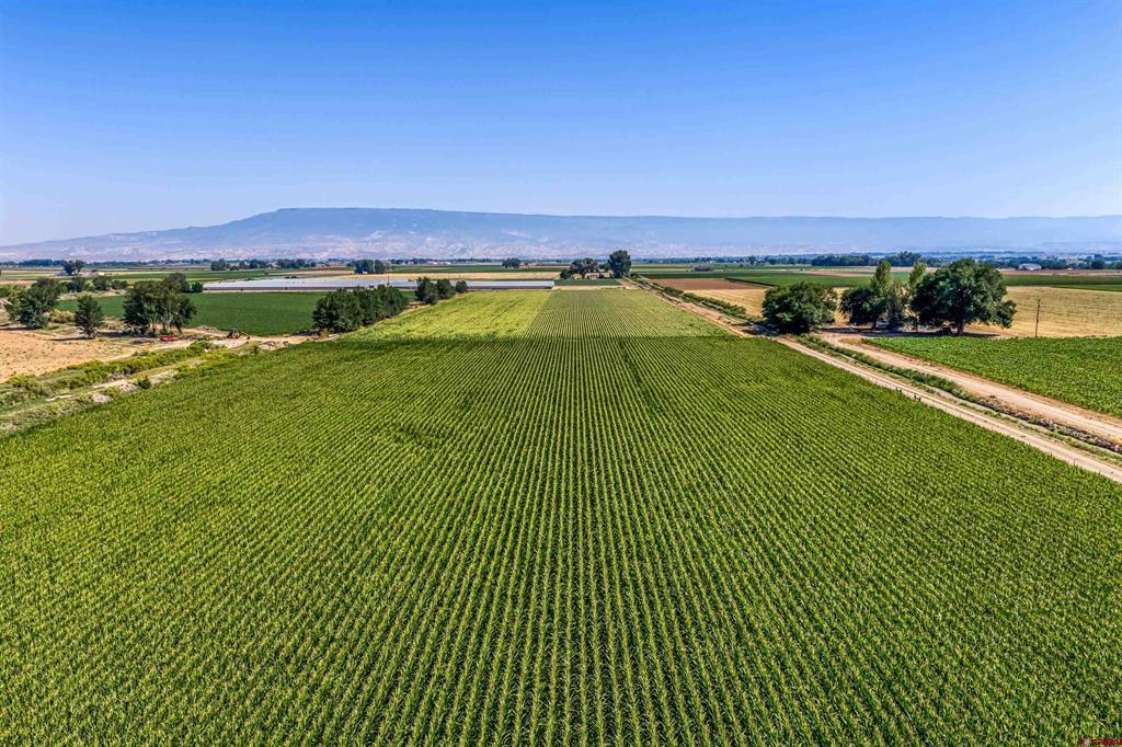 Tbd Carnation Or 5400 Road Property Photo 17