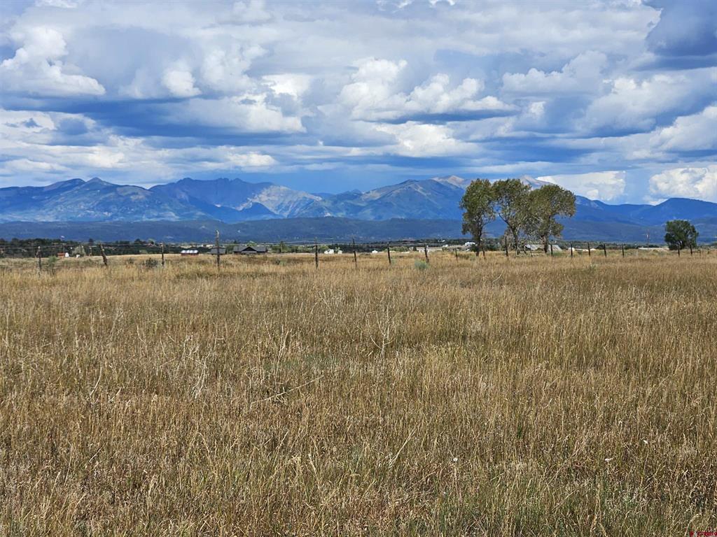 Tbd County Road 129 Property Photo 1