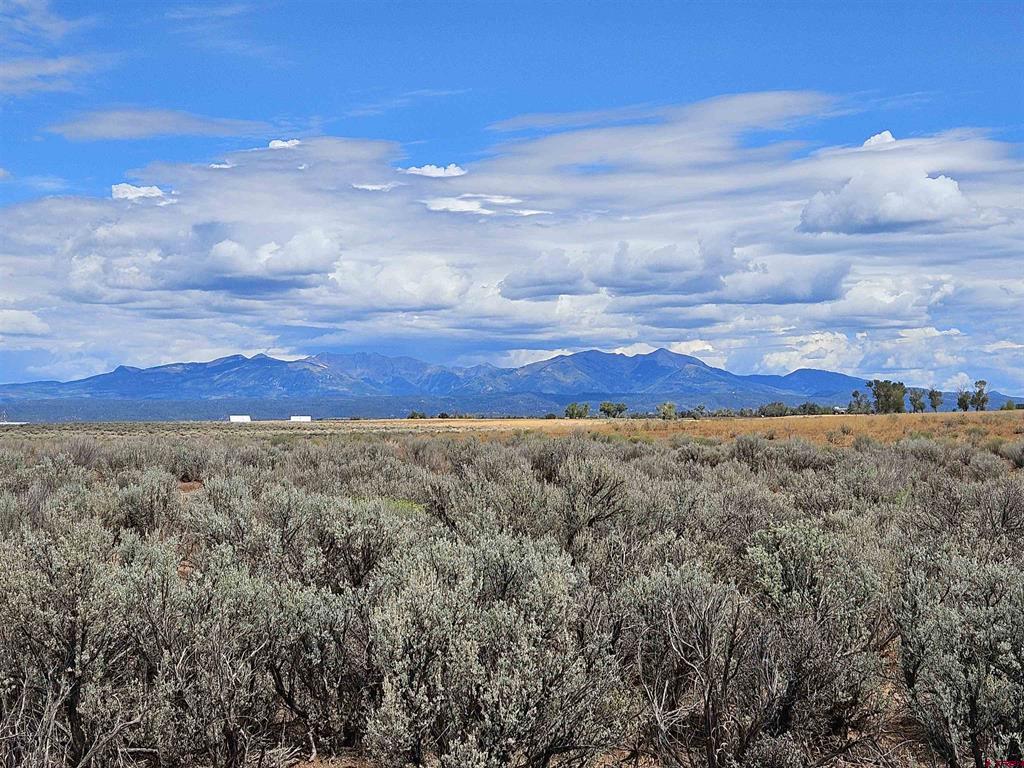 Tbd County Road 130 Property Photo 1