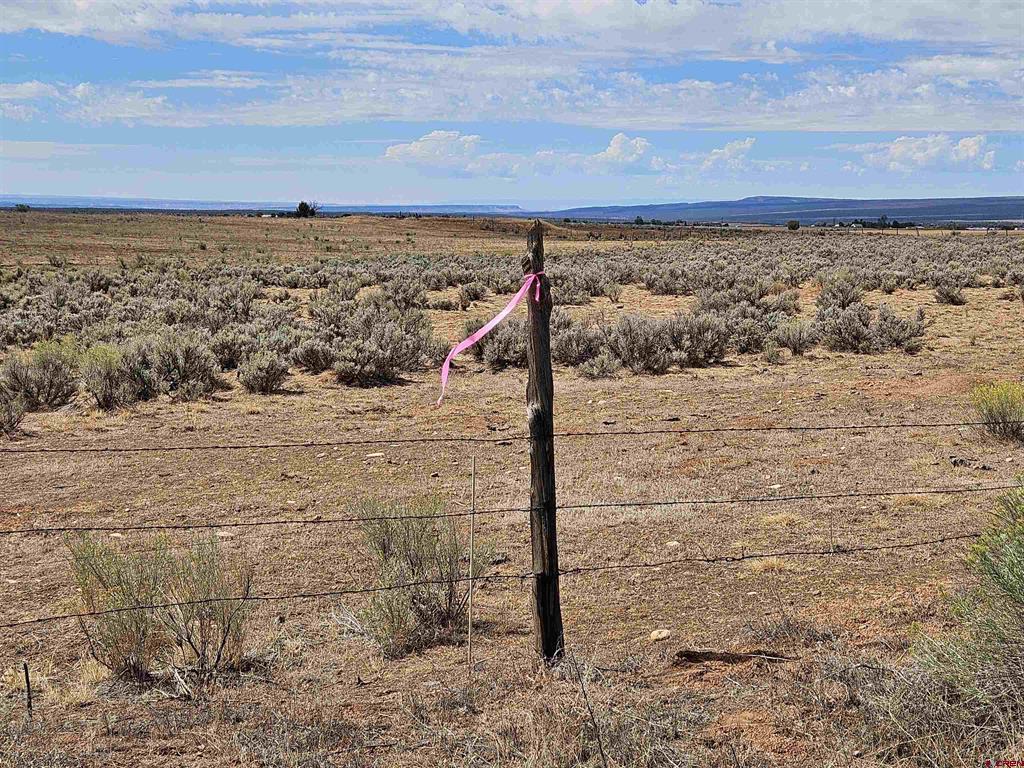 Tbd County Road 130 Property Photo 3