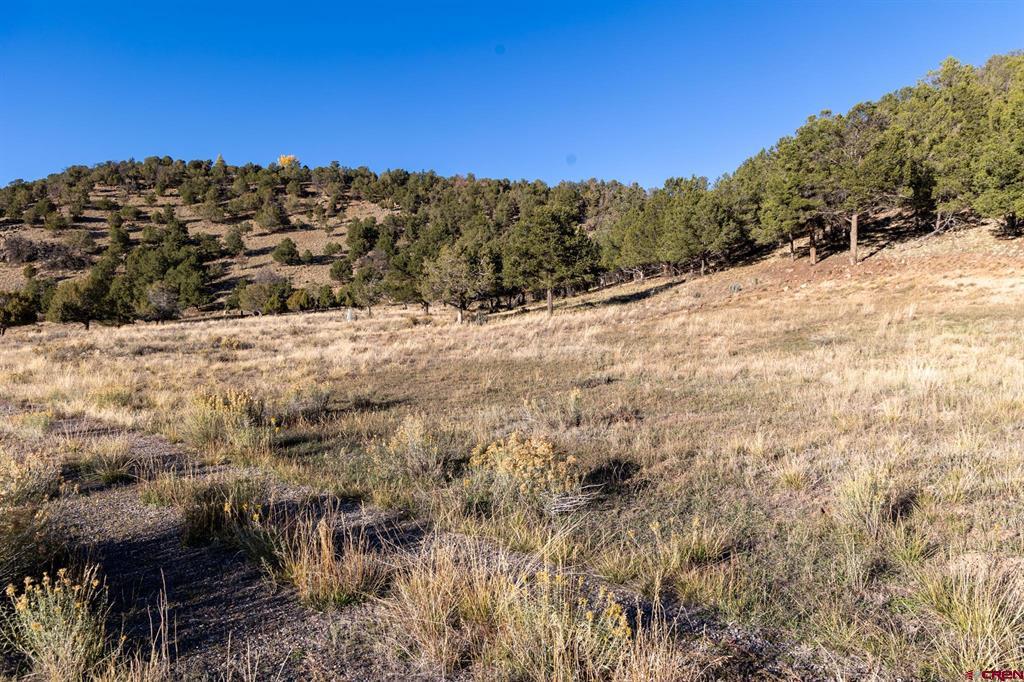 125 & 175 Pasture Place Property Photo 15