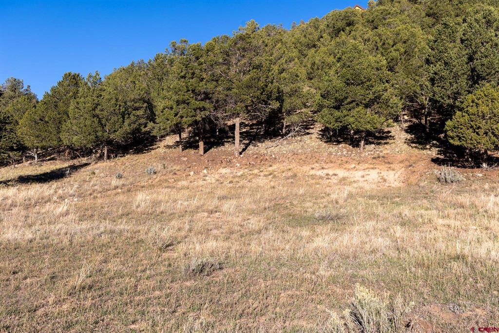 125 & 175 Pasture Place Property Photo 16