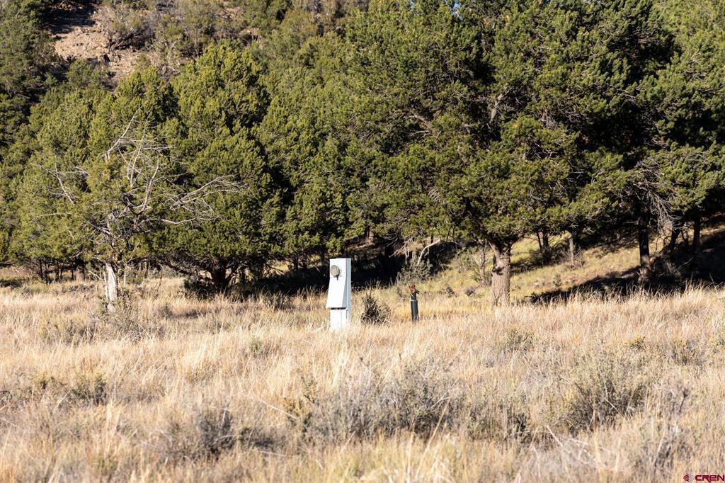 125 & 175 Pasture Place Property Photo 17