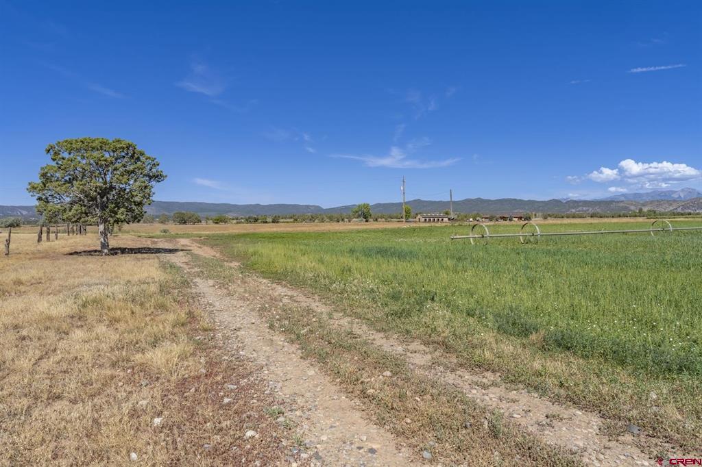 Tbd S Hwy 550 Property Photo 4