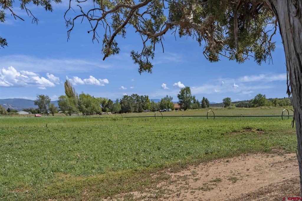 Tbd S Hwy 550 Property Photo 5