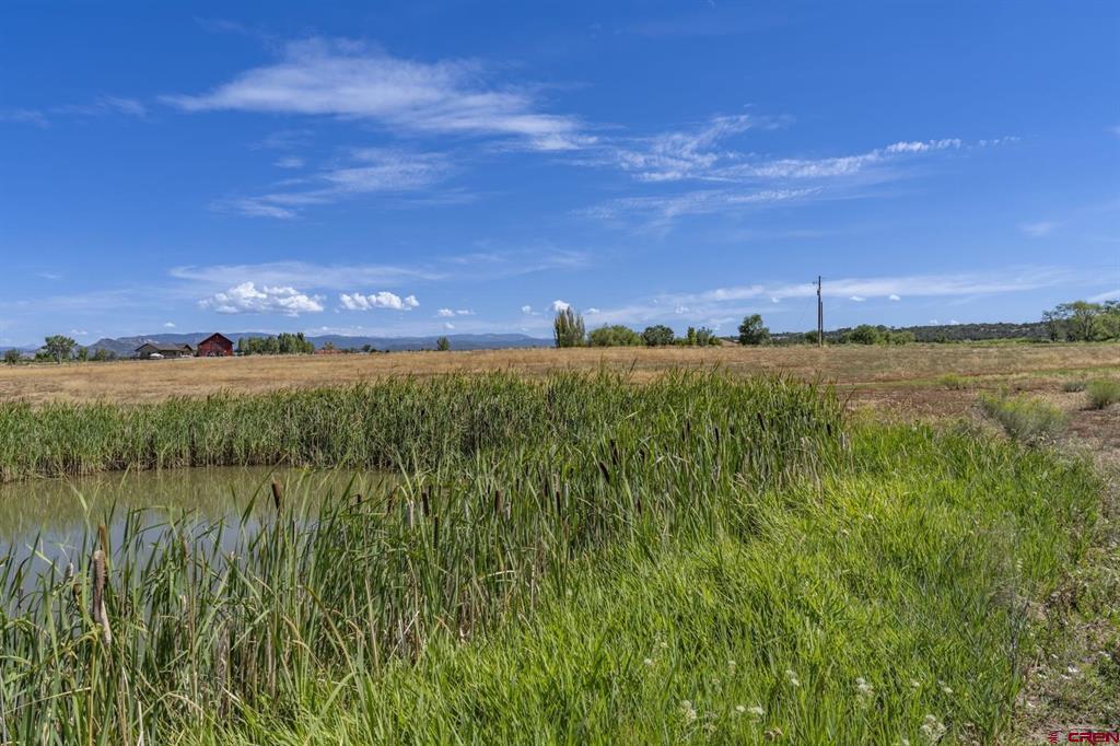Tbd S Hwy 550 Property Photo 7