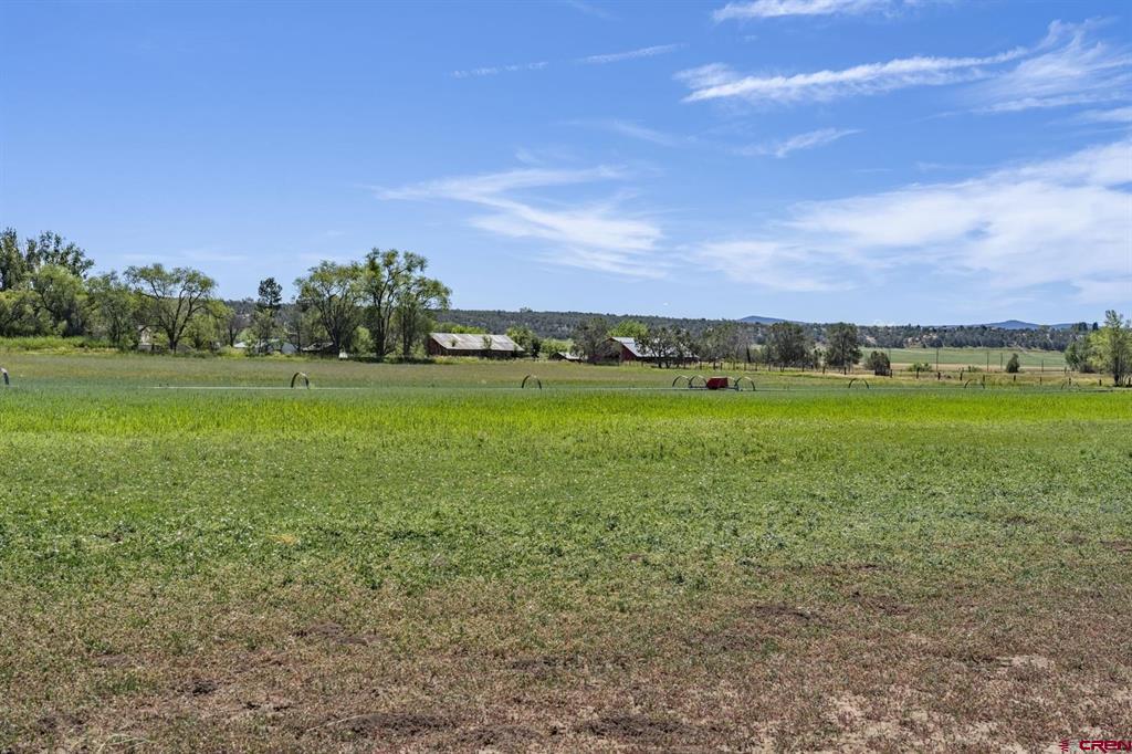 Tbd S Hwy 550 Property Photo 10